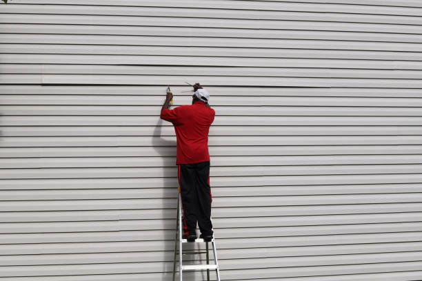 Best Residential Vinyl Siding Installation  in Bassett, VA