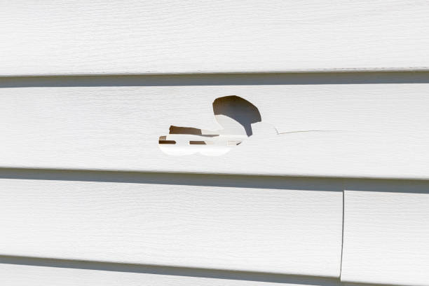 Trusted Bassett, VA Siding Installation & Repair Experts