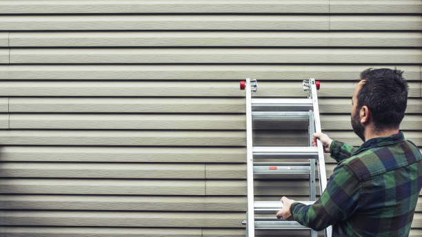 Best Siding Painting and Refinishing  in Bassett, VA