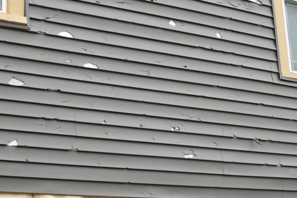 Best Siding for New Construction  in Bassett, VA