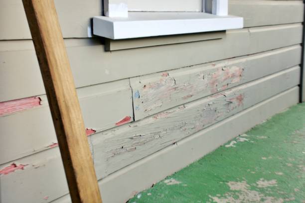 Best Siding for Multi-Family Homes  in Bassett, VA